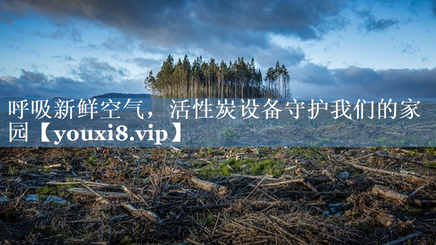 呼吸新鲜空气，活性炭设备守护我们的家园
