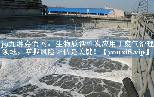 <strong>j9九游会官网：生物质活性炭应用于废气治理领域，掌握风险评估是关键！</strong>