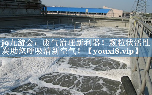 废气治理新利器！颗粒状活性炭助您呼吸清新空气！