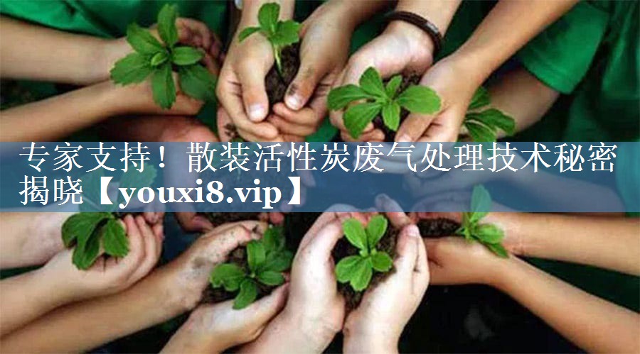 专家支持！散装活性炭废气处理技术秘密揭晓