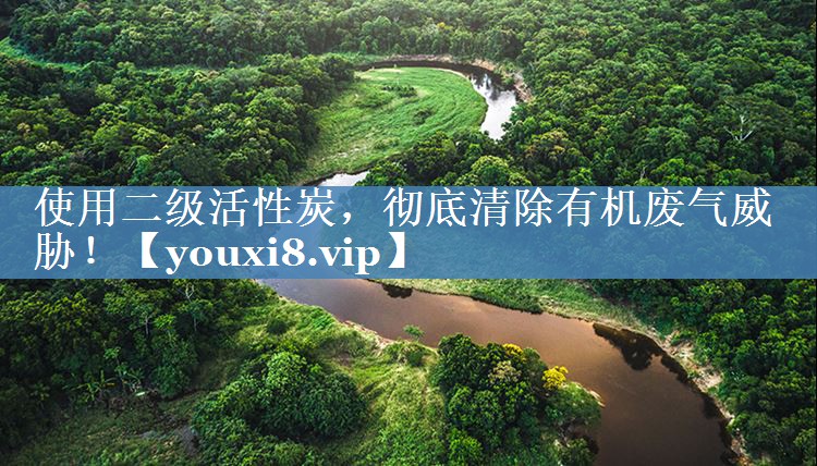 使用二级活性炭，彻底清除有机废气威胁！