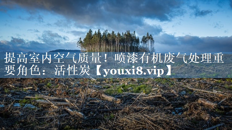 提高室内空气质量！喷漆有机废气处理重要角色：活性炭