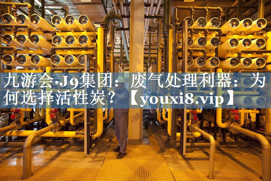 废气处理利器：为何选择活性炭？