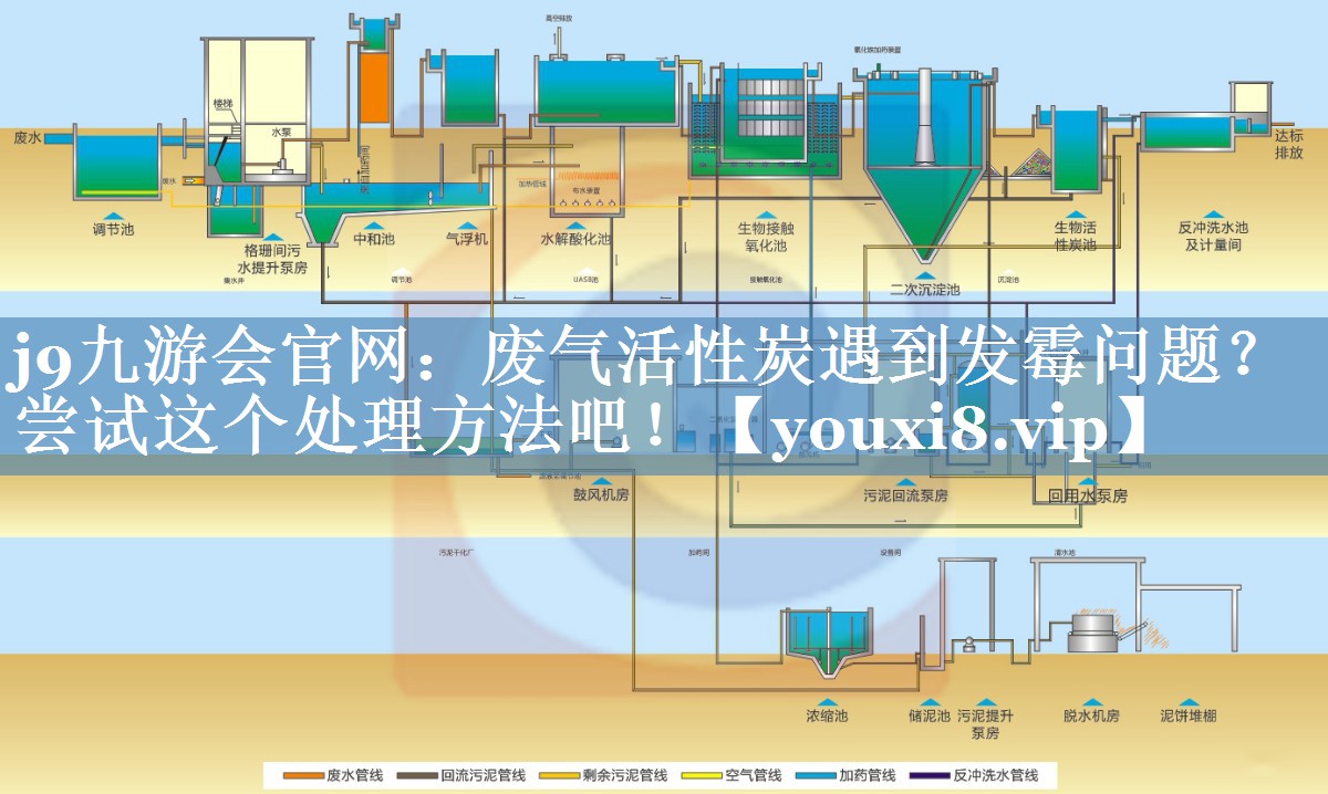 废气活性炭遇到发霉问题？尝试这个处理方法吧！